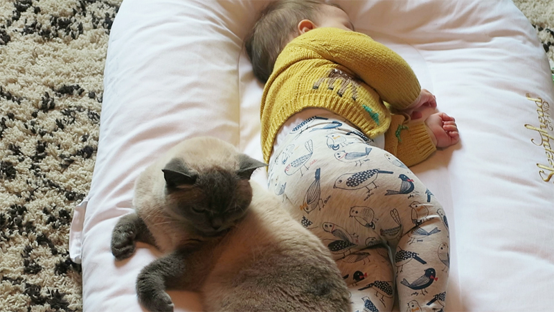 Sleepyhead