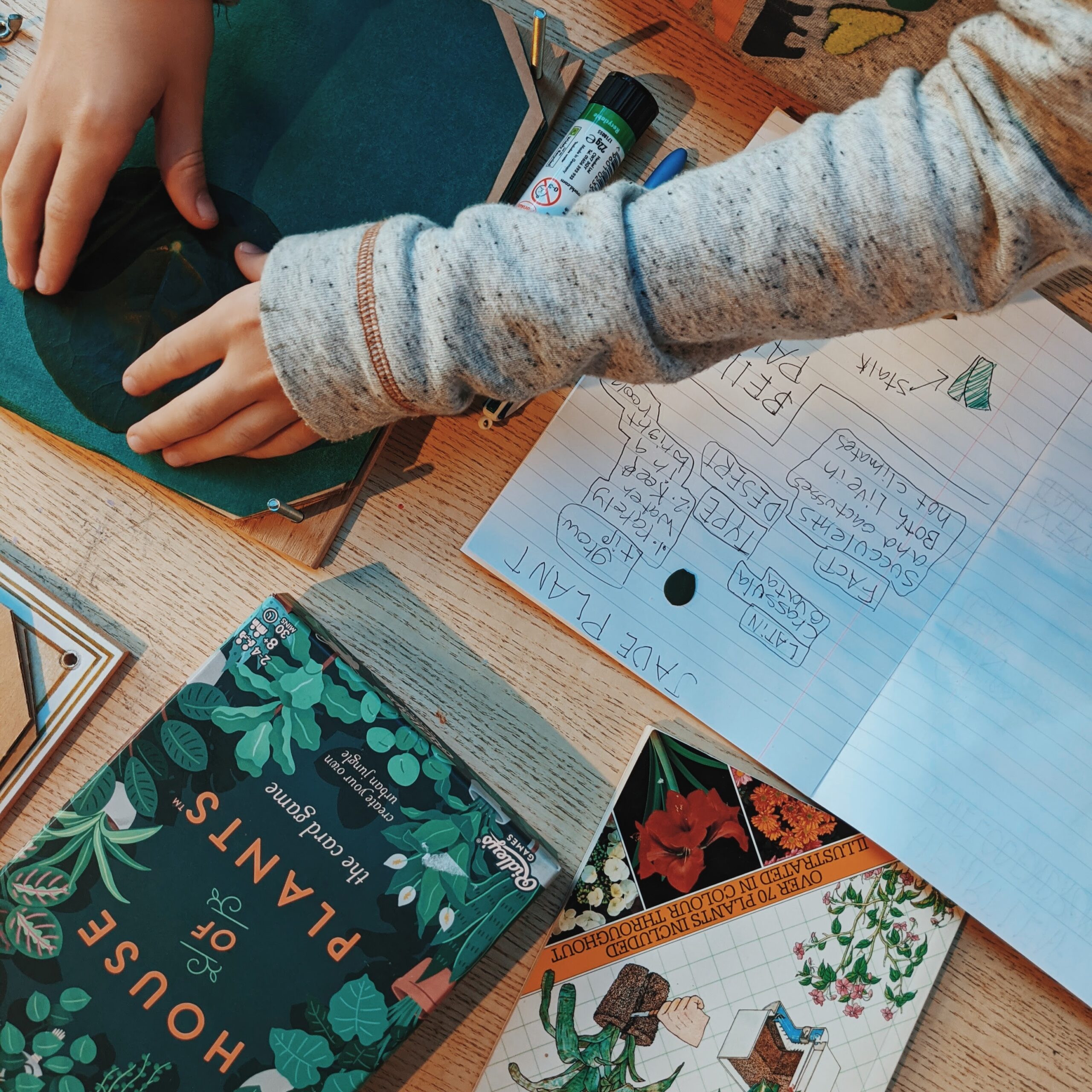 homeschool cost