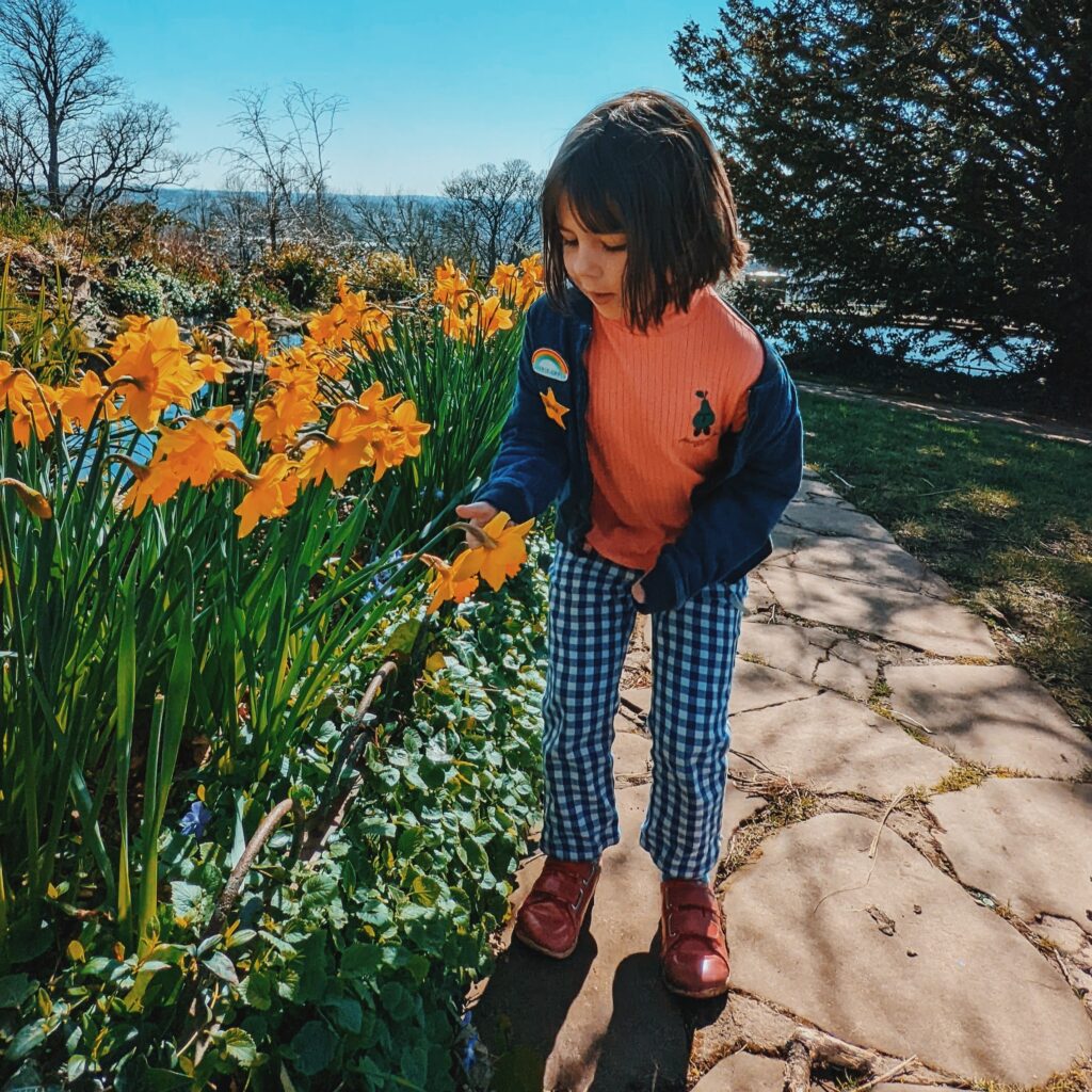 A Year of Home Education