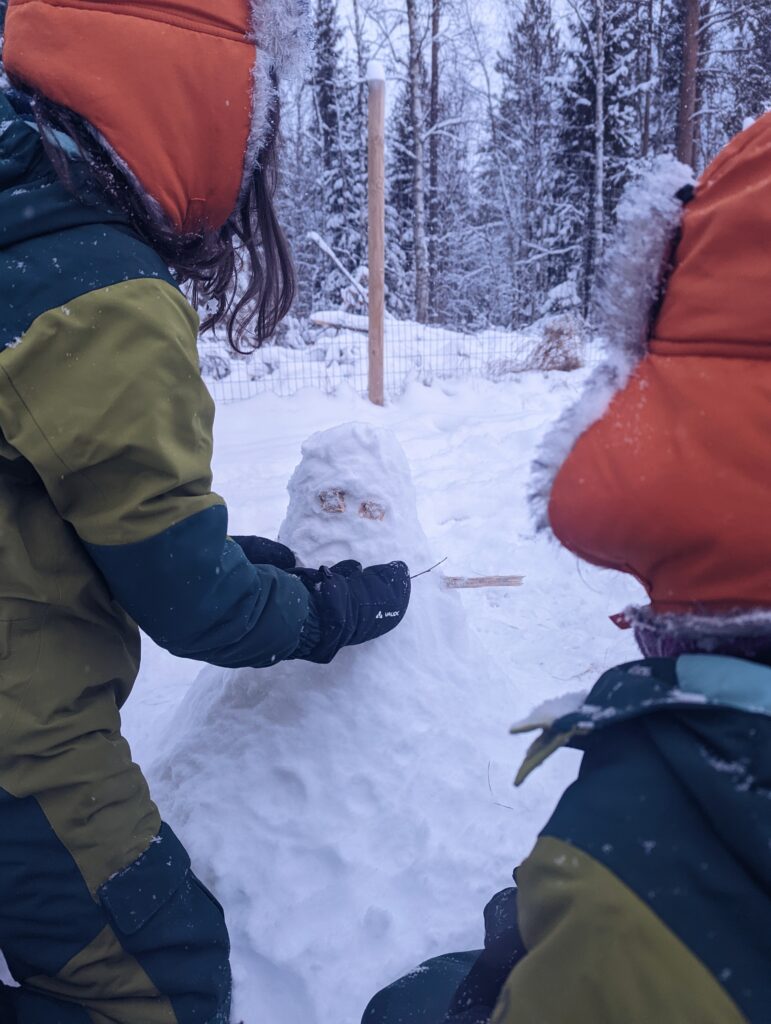 swedish lapland