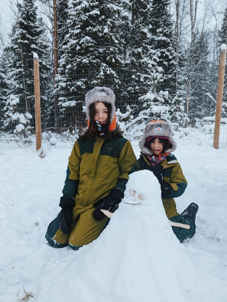 swedish lapland