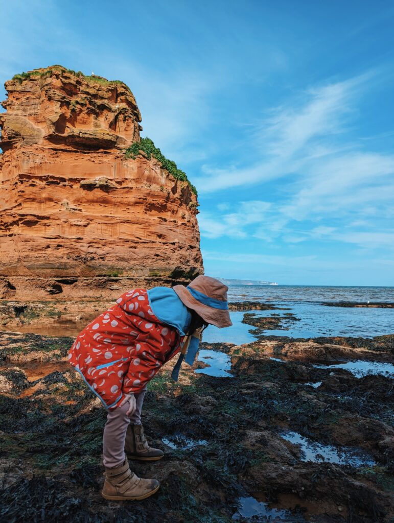 rockpooling