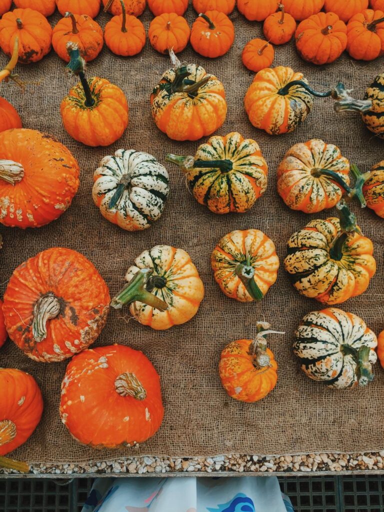 pumpkins