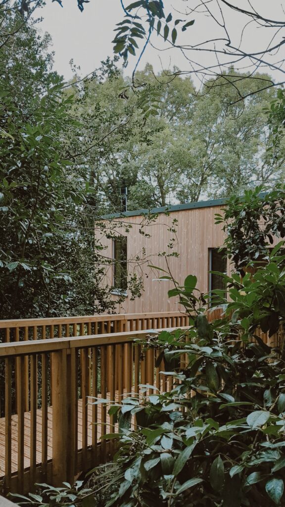 Rewild Things Elmore Treehouse