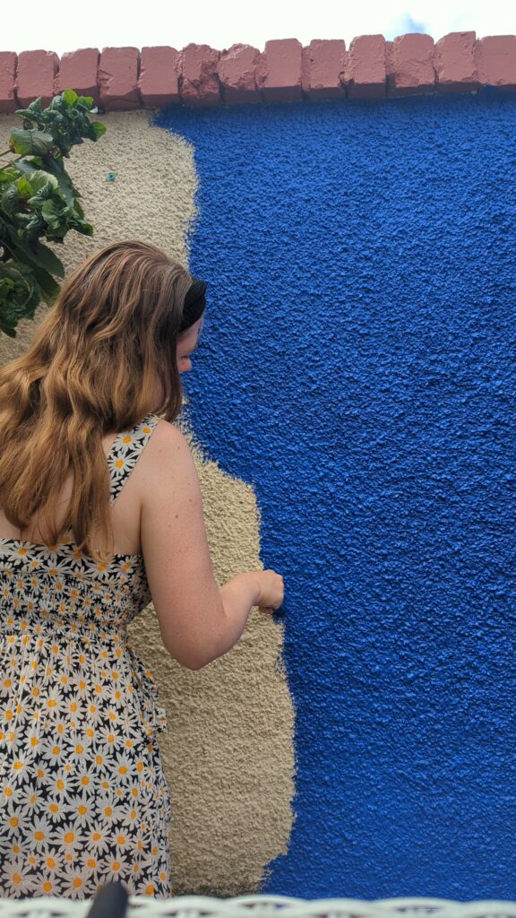 painting pebbledash