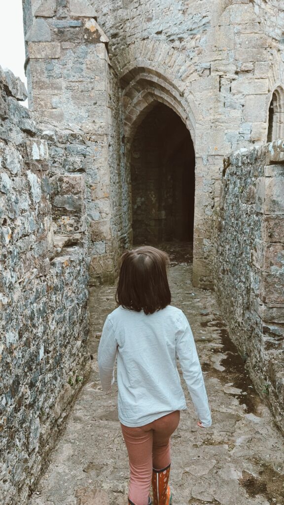 Chepstow castle