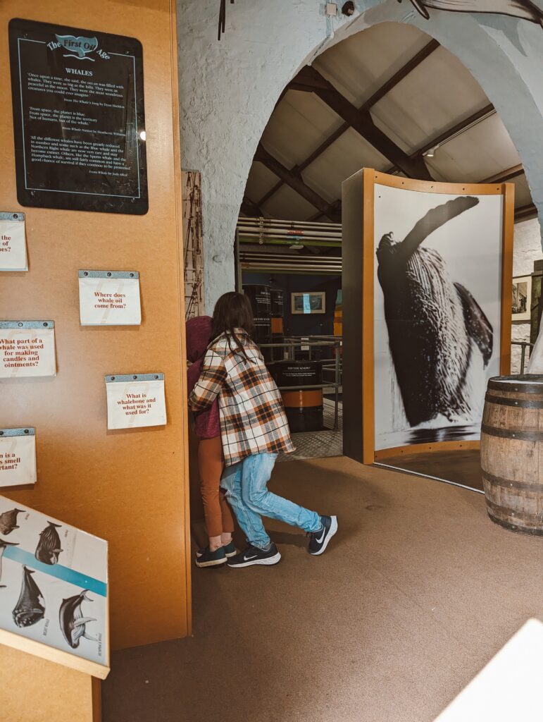 Milford Haven museum
