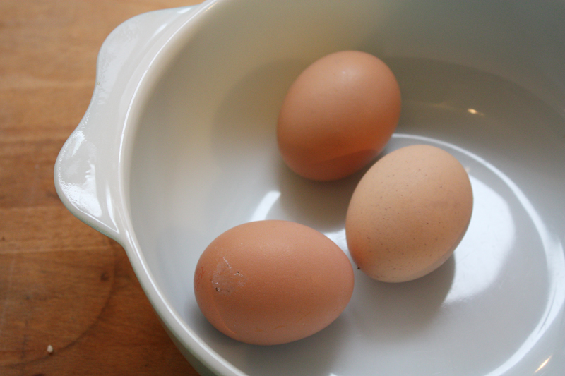 eggs