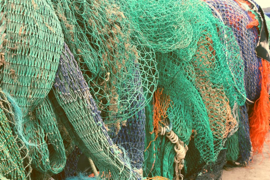 lyme regis