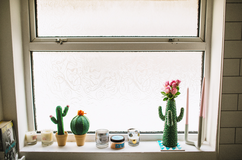cactus plant