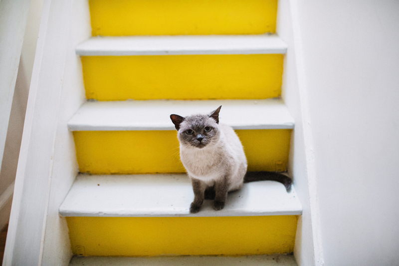 yellow stairs