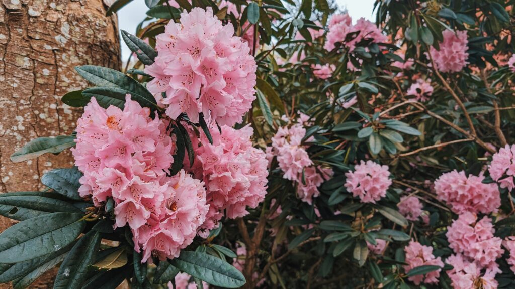 hidden gardens