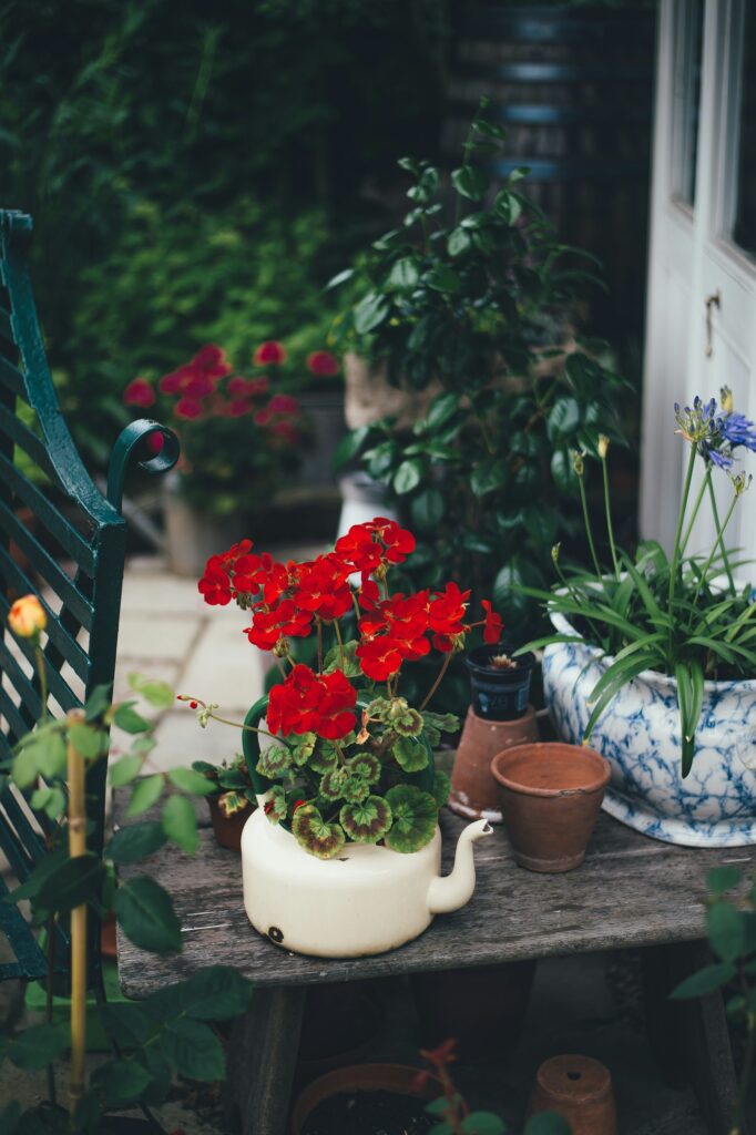 urban garden