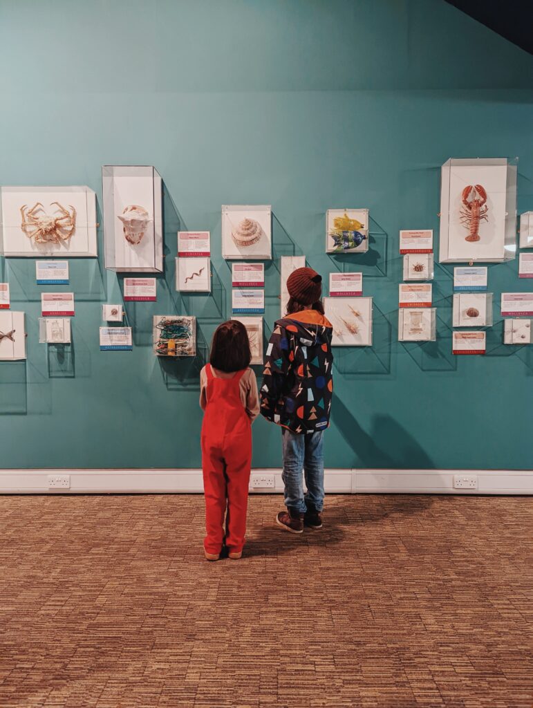 things to do in Cardiff with kids